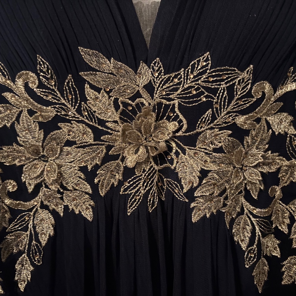 Betsy & Adam Navy Blue Chiffon Gown w/ Gold Embroidered Bodice – Size 6 - Picture 3 of 6